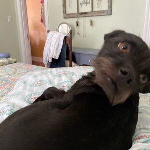 Meet your Posher, Susan